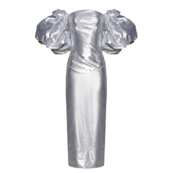 Anouki Corset Style Silver Silk Dress With Falling Sleeves