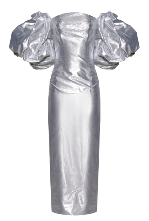 Anouki Corset Style Silver Silk Dress With Falling Sleeves