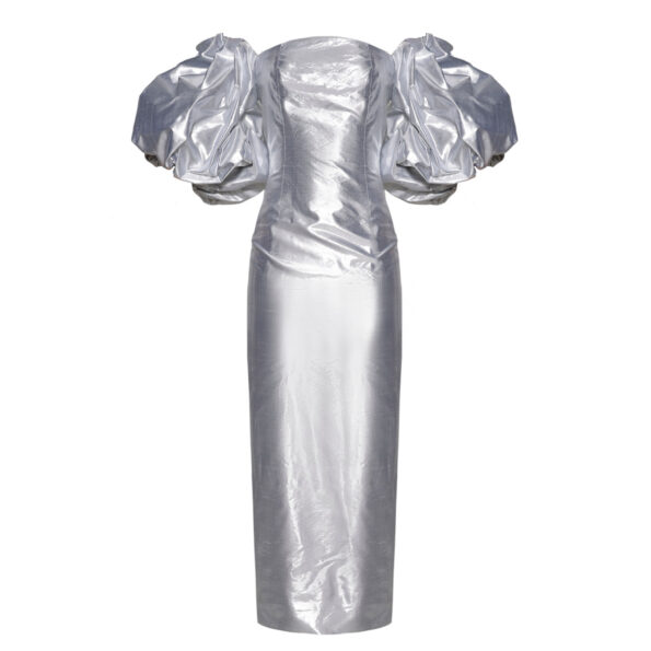 Anouki Corset Style Silver Silk Dress With Falling Sleeves